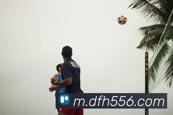 凤凰彩票fh服务体系